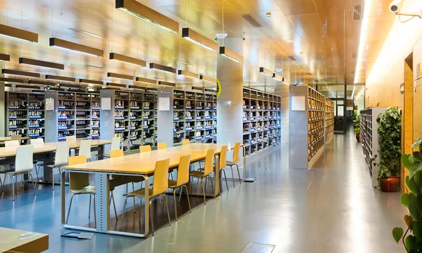 遊びやゲームやテレビ、漫画などの誘惑から遠ざけられる