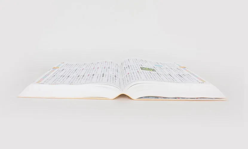 苦手克服!中学受験「国語」のよくある誤解